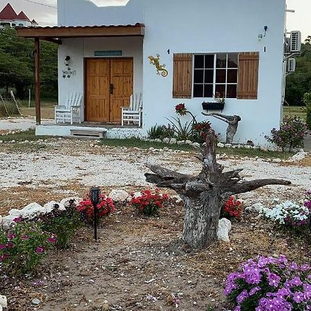 Azteca Villas Treasure Beach Exteriér fotografie